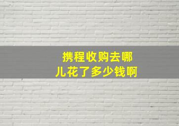 携程收购去哪儿花了多少钱啊