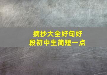 摘抄大全好句好段初中生简短一点