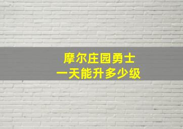 摩尔庄园勇士一天能升多少级