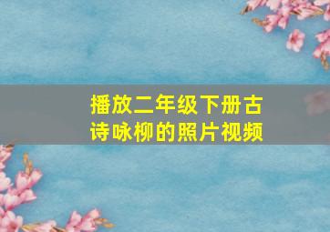 播放二年级下册古诗咏柳的照片视频