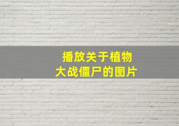 播放关于植物大战僵尸的图片