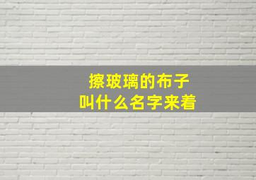 擦玻璃的布子叫什么名字来着