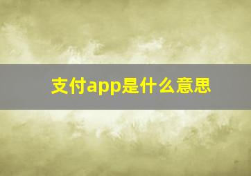 支付app是什么意思