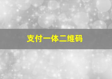 支付一体二维码