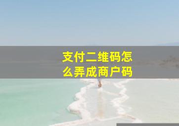 支付二维码怎么弄成商户码