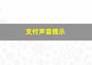 支付声音提示