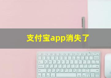 支付宝app消失了