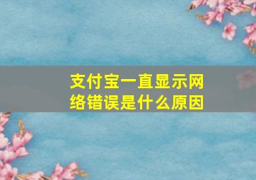 支付宝一直显示网络错误是什么原因