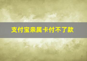 支付宝亲属卡付不了款