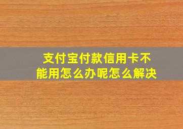 支付宝付款信用卡不能用怎么办呢怎么解决