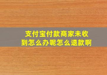 支付宝付款商家未收到怎么办呢怎么退款啊