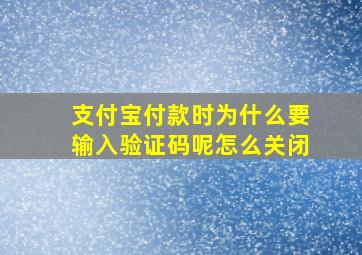 支付宝付款时为什么要输入验证码呢怎么关闭