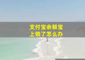 支付宝余额宝上锁了怎么办