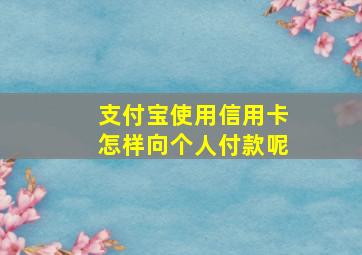 支付宝使用信用卡怎样向个人付款呢