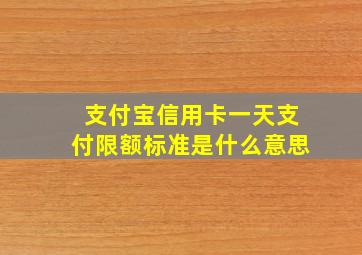 支付宝信用卡一天支付限额标准是什么意思