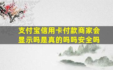 支付宝信用卡付款商家会显示吗是真的吗吗安全吗