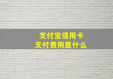 支付宝信用卡支付费用是什么