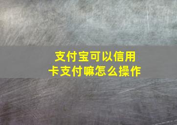 支付宝可以信用卡支付嘛怎么操作