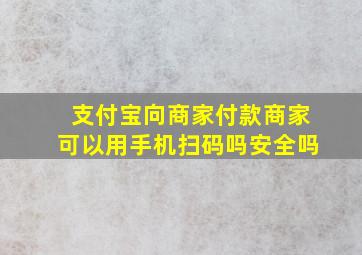 支付宝向商家付款商家可以用手机扫码吗安全吗