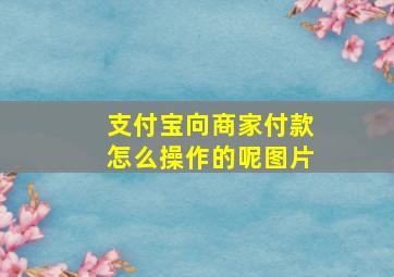 支付宝向商家付款怎么操作的呢图片