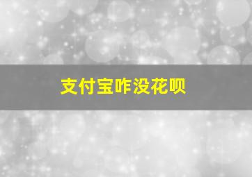 支付宝咋没花呗