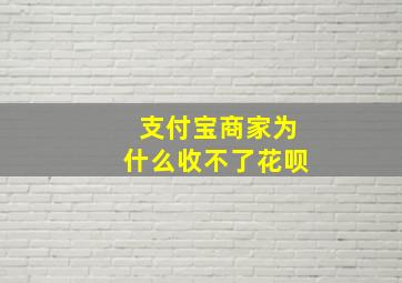 支付宝商家为什么收不了花呗