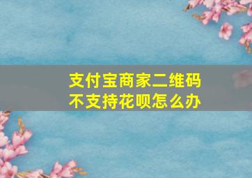 支付宝商家二维码不支持花呗怎么办