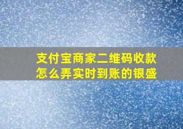 支付宝商家二维码收款怎么弄实时到账的银盛