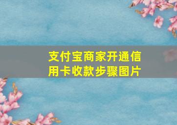 支付宝商家开通信用卡收款步骤图片