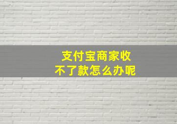 支付宝商家收不了款怎么办呢