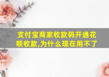 支付宝商家收款码开通花呗收款,为什么现在用不了