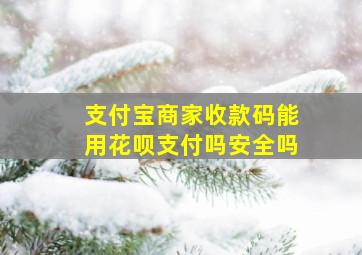 支付宝商家收款码能用花呗支付吗安全吗