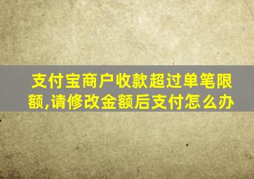 支付宝商户收款超过单笔限额,请修改金额后支付怎么办