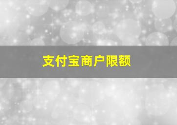 支付宝商户限额