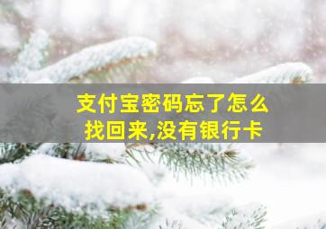 支付宝密码忘了怎么找回来,没有银行卡