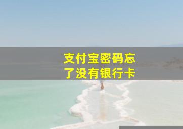 支付宝密码忘了没有银行卡