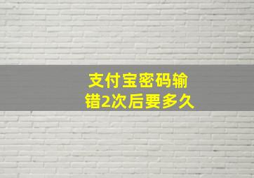 支付宝密码输错2次后要多久