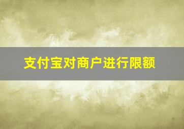 支付宝对商户进行限额