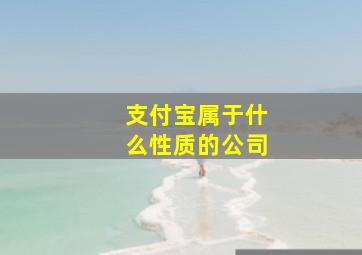 支付宝属于什么性质的公司