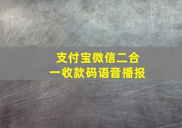 支付宝微信二合一收款码语音播报