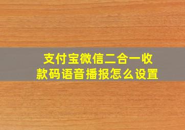 支付宝微信二合一收款码语音播报怎么设置