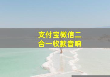 支付宝微信二合一收款音响