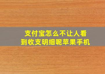 支付宝怎么不让人看到收支明细呢苹果手机