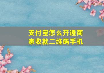 支付宝怎么开通商家收款二维码手机