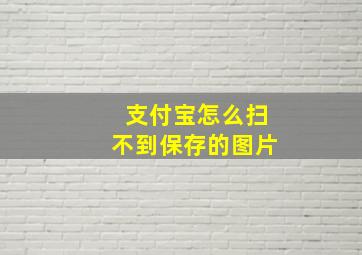 支付宝怎么扫不到保存的图片