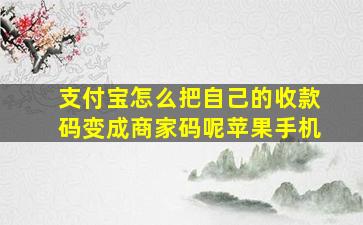 支付宝怎么把自己的收款码变成商家码呢苹果手机