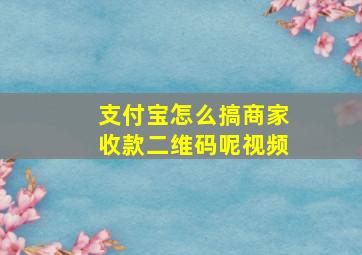 支付宝怎么搞商家收款二维码呢视频