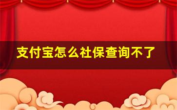 支付宝怎么社保查询不了