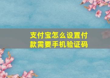 支付宝怎么设置付款需要手机验证码