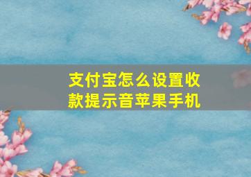 支付宝怎么设置收款提示音苹果手机